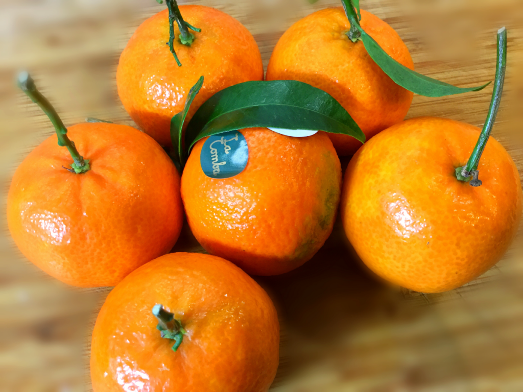 Mandarinen-Fruchtgrummis ohne Zucker